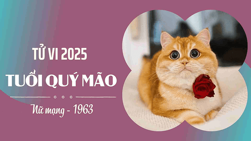 2025 là năm Hỏa khắc với mệnh Kim của nữ Quý Mão nên họ sẽ phải đối mặt với nhiều áp lực và khó khăn 2025 la nam Hoa khac voi menh Kim cua nu Quy Mao nen ho se phai doi mat voi nhieu ap luc va kho khan
