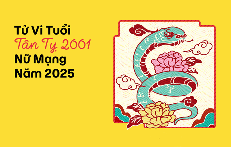 2025 là năm nữ Tân Tỵ sẽ phải đối mặt với nhiều vận hạn nguy hiểm nên phải cẩn thận trong mọi quyết định 2025 la nam nu Tan Ty se phai doi mat voi nhieu van han nguy hiem nen phai can than trong moi quyet dinh