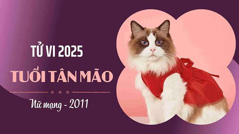 Sao Là Hầu và hạn Diêm Vương trong năm 2025 có thể khiến nữ Tân Mão gặp nhiều vấn đề về sức khỏe Sao La Hau va han Diem Vuong trong nam 2025 co the khien nu Tan Mao gap nhieu van de ve suc khoe