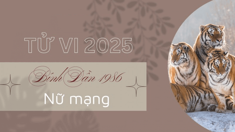Dan gap Ty tao ra hien tuong tuong hai nen nam 2025 chac chan se mang den nhieu thuc thach cho nu Binh Dan