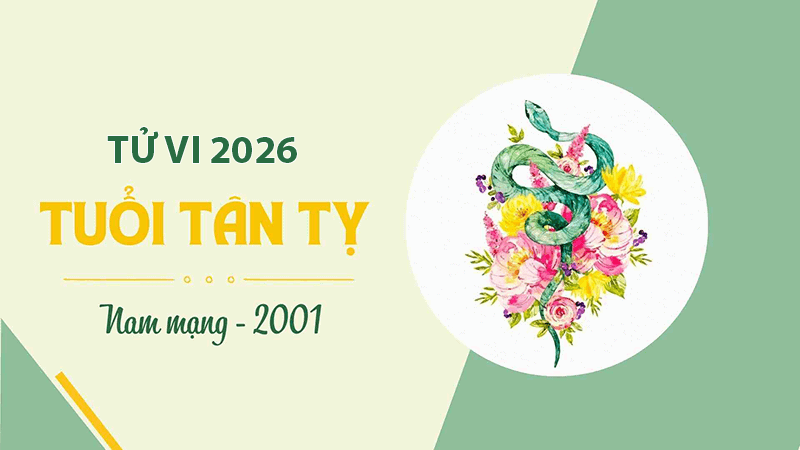 Menh Kim cua nam Tan Ty tuong sinh truc tiep voi nam 2026 co the tao ra luong nang luong tich cuc suot nam