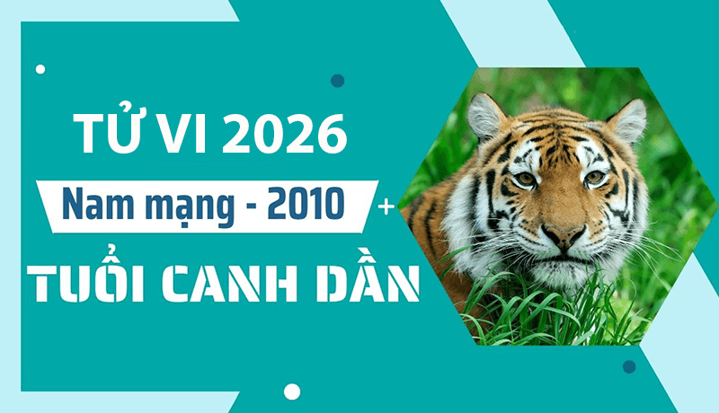 Năm 2026 mang đến sự ổn định cho nam Canh Dần và cuộc sống hàng ngày gặp nhiều thuận lợi nhờ sao Thái Âm hỗ trợ Nam 2026 mang den su on dinh cho nam Canh Dan va cuoc song hang ngay gap nhieu thuan loi nho sao Thai Am ho tro