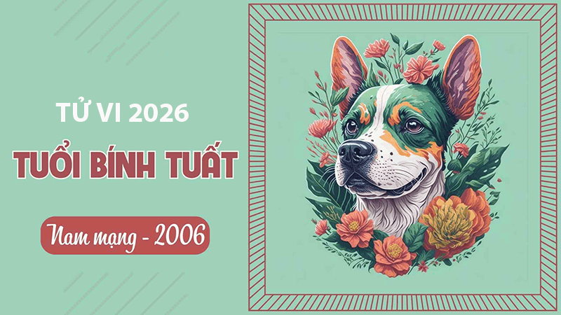 Nam 2026 nam Binh Tuat co van trinh on dinh voi sao Thuy Dieu chieu menh mang den nhieu dieu tich cuc
