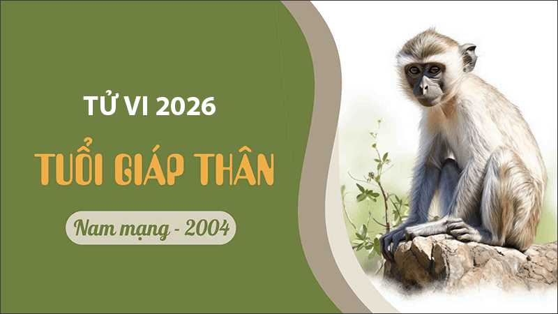 Nam 2026 nam Giap Than duoc sao Thai Duong chieu menh, ho tro duong cong danh va su nghiep tro len sang hon